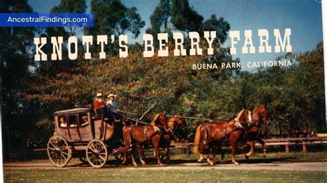 AF-670: The History of Knott’s Berry Farm | Ancestral Findings Podcast - YouTube