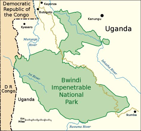 Bwindi Impenetrable National Park: Home to the Gorillas