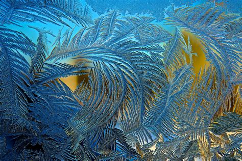 These Magnified Frost Crystal Images Are Totally Enchanting | WIRED