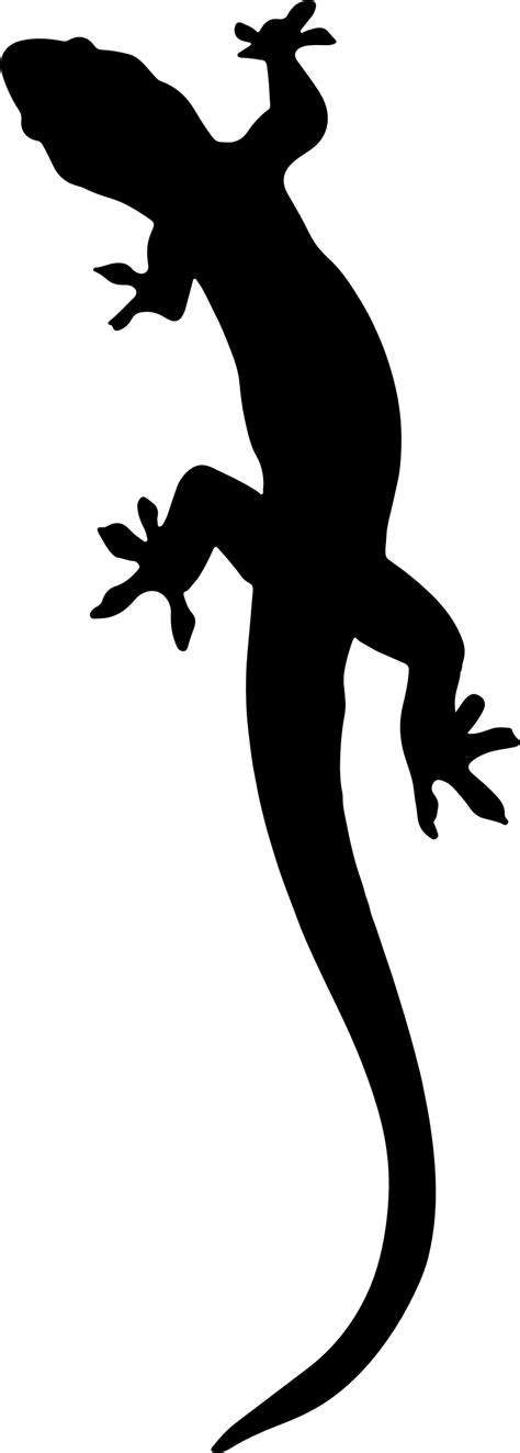 Salamander Silhouette Vector Clipart image - Free stock photo - Public Domain photo - CC0 Images