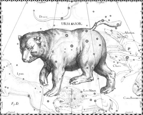 File:Ursa Major constellation Hevelius.jpg - Wikipedia