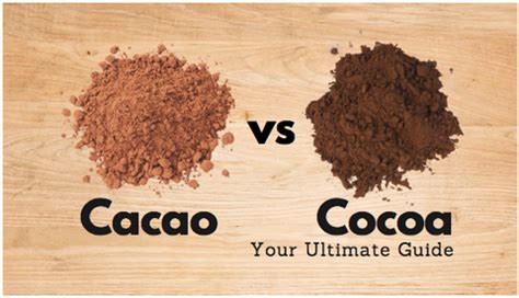 Cacao vs Cocoa - Your Ultimate Guide – Nib and Noble