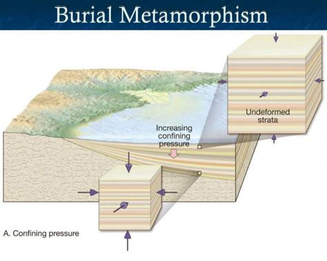 Types of Metamorphism | Gelogia