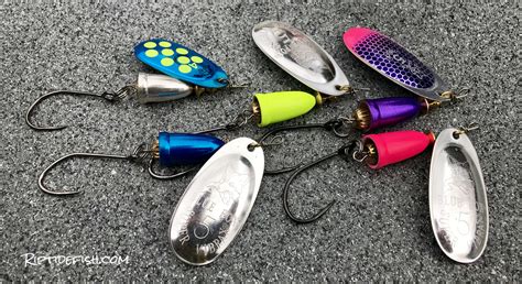 10 Amazing Lures for Coho Salmon in Rivers - Riptidefish