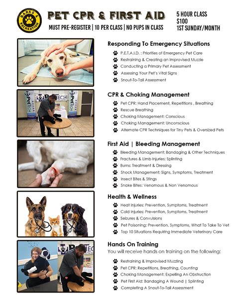 Pet Cpr Classes