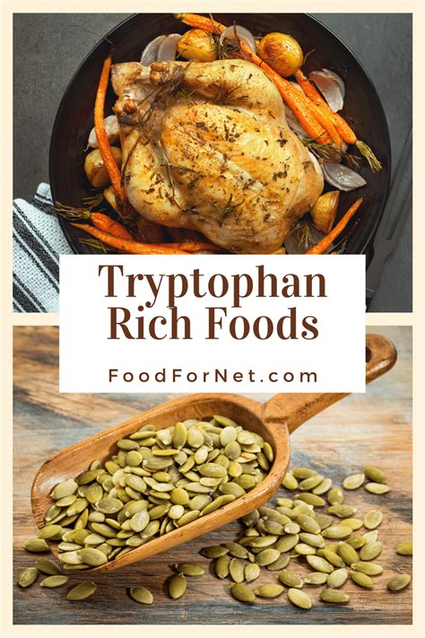 22 Tryptophan Rich Foods To Help Your Rest And Mood | Food For Net