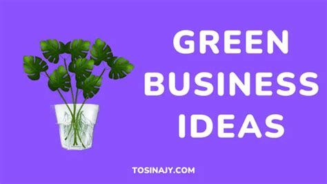 Green Business Ideas: Make Money without Harming the Environment - Tosinajy