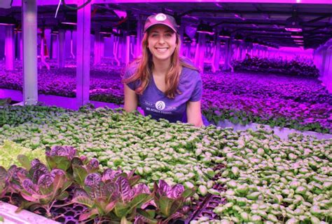 80 Acres Farms Raises $40m to Complete 'First Fully Automated Vertical Farm' - AFN