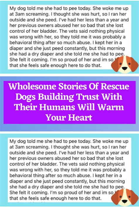 Wholesome stories of rescue dogs building trust with their humans will warm your heart – Artofit