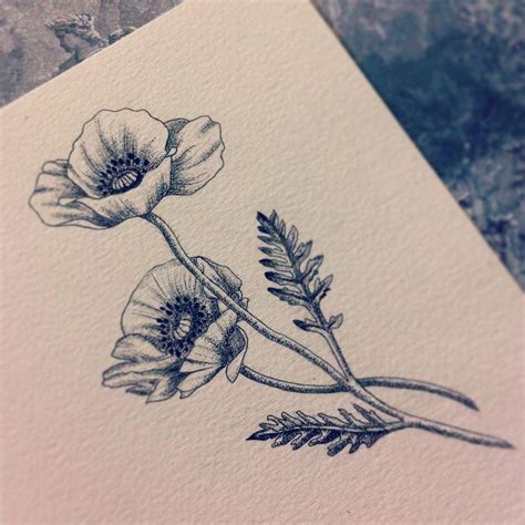 California Poppy Flower Outline - Poppy Tattoo | Zoe Sipes Blog