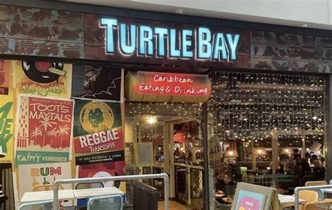 Turtle Bay Menu With Prices [February 2024 Updated]