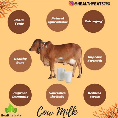 Amazing health benefits of Cow Milk | Milk benefits, Milk cow, Cow milk ...