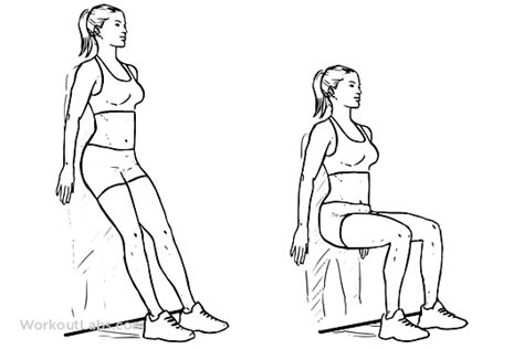 Wall Sit / Squat / Chair | Exercise guide - WorkoutLabs | Knee ...