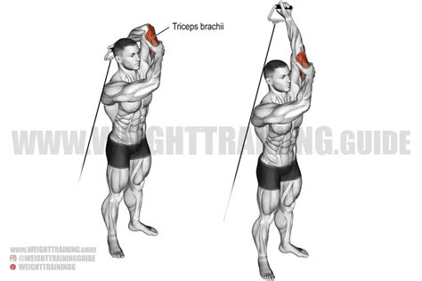 Standing overhead one-arm cable triceps extension instructions and video