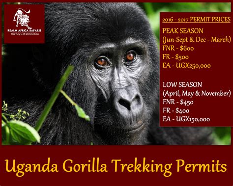 Uganda gorilla trekking Permit Prices