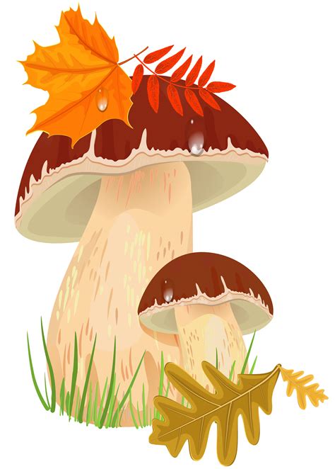 Mushroom Clipart Fall Watercolor Clip Art Woodland Illustration Png ...