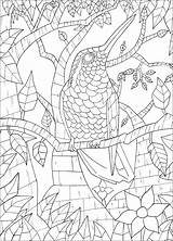 Oiseau Sur Branche  Coloriages Oiseaux Difficiles Pour Adultes sketch template