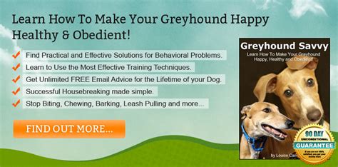 Greyhound Savvy | Just another WordPress weblog