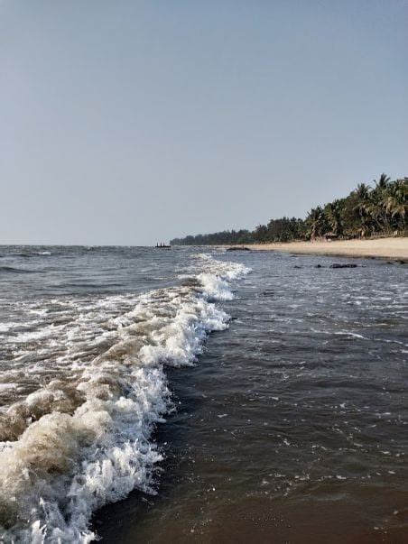 Kihim Beach, Alibaug - Things to Do, Timings & Photos