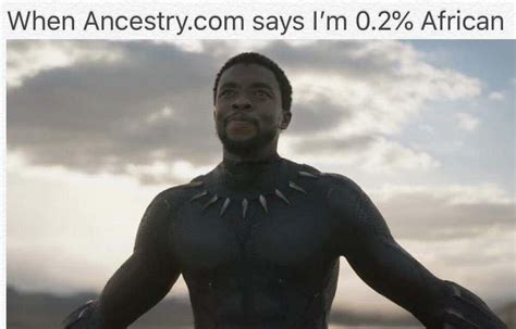 Wakanda Forever : memes