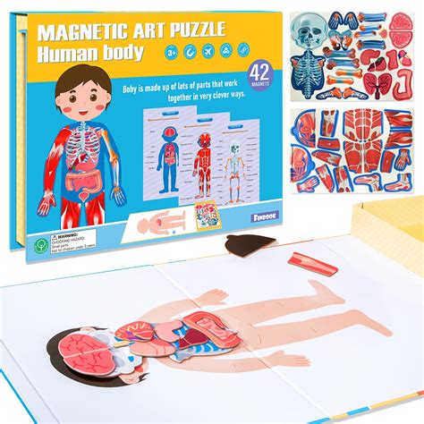 Buy Human Body Puzzle - 42 Pieces Magnetic Anatomy Puzzle for Kids Learning Boby Parts Skeleton ...