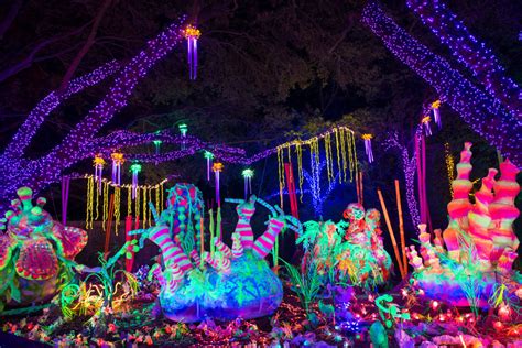 Where to See the Best Christmas Lights in Houston | Houstonia