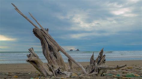 Best Ecuador Beach? A place called Ayampe,Ecuador. | Ecuador, Beach, Places