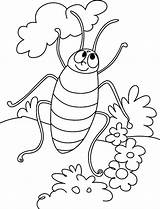 Free Printable Cockroach Coloring Pages For Kids sketch template