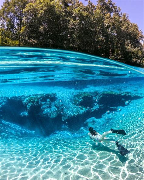 This Clear Blue Spring In Florida Is The Ultimate Day Trip & You Can Camp There | Florida ...