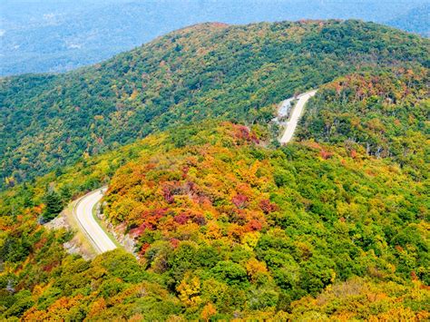 Beautiful road trips to take this spring - Business Insider