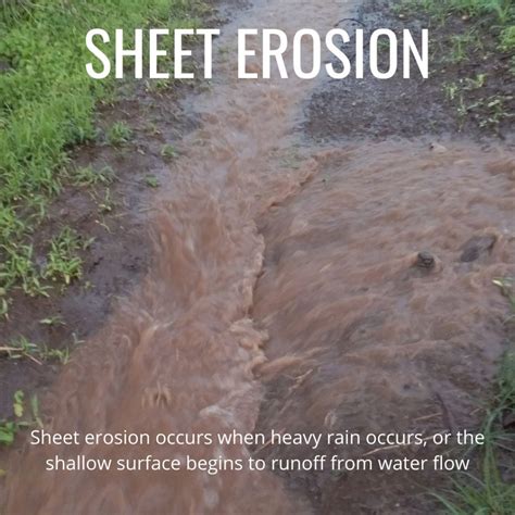 6 Types of Soil Erosion | GO Seed