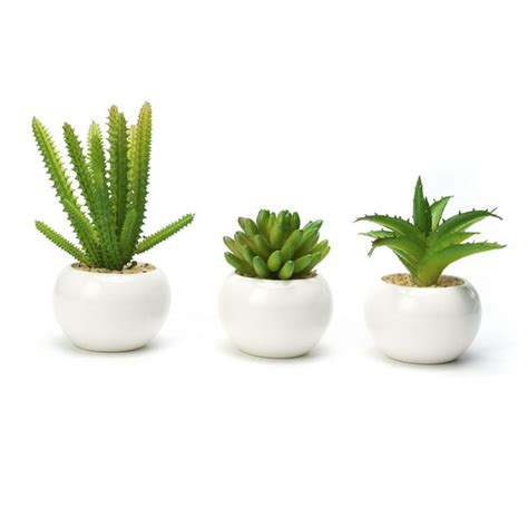 Modern Mini Artificial Succulent Plants Potted in Round White Ceramic ...