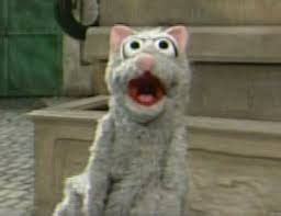 muppet cat - Google Search in 2021 | Cats, Muppets, Animals