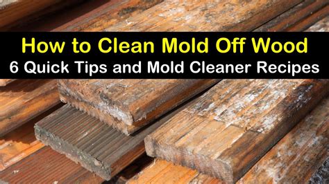 6 Quick Ways to Clean Mold Off Wood