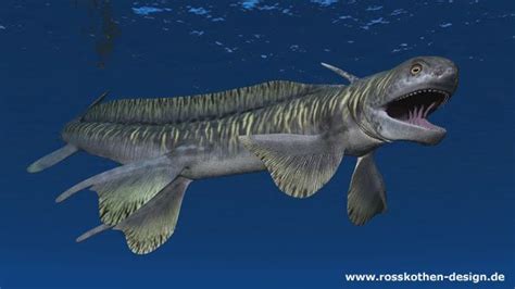 Prehistoric shark Orthacanthus by Michael Rosskothen | Ausgestorbene tiere, Prähistorisches ...