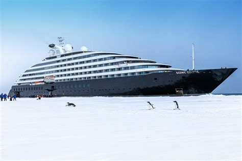 Scenic Eclipse Antarctica - Quirky Cruise