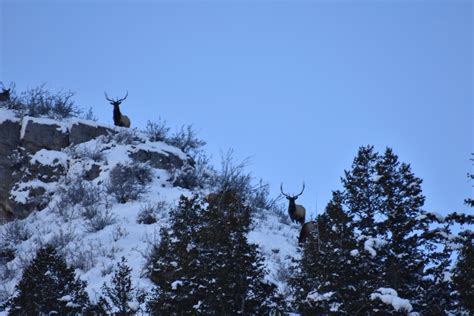 Bridal Veil Falls in Winter - Utah's Adventure Family