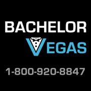 Las Vegas Bachelor Party - Bachelor Party