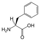 Phenylalanine - New World Encyclopedia