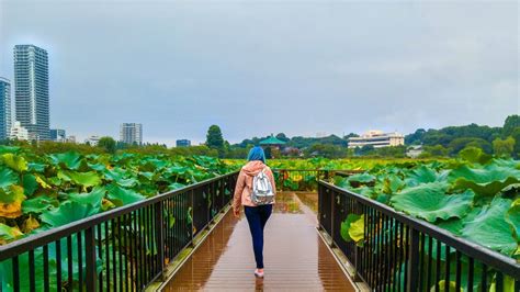 A Complete Guide to the Peaceful Pathways of Ueno Park in Tokyo - The Creative Adventurer