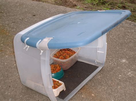 Feeding Stations/Feral Cat Shelters... | TheCatSite