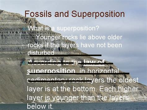 Fossils and The Law of Superposition Mr Blacks