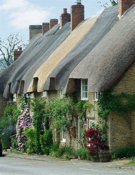 Modern Thatched House Designs