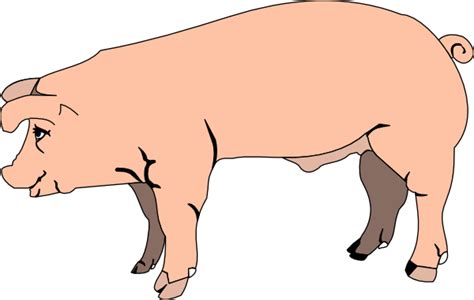 Pink Pig Side View Clip Art at Clker.com - vector clip art online ...