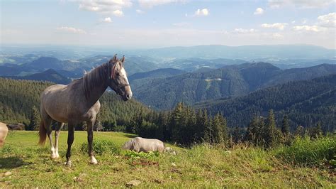 Wetter für Graz-Umgebung - Graz-Umgebung