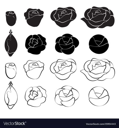 Black rose and white Royalty Free Vector Image