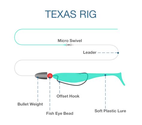 Texas Rig Fishing: How to Rig and Fish - Outdoors Cult