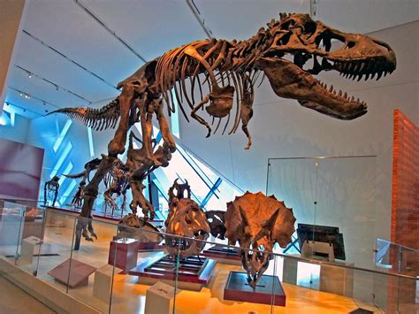 Fuji F200EXR - Royal Ontario Museum, Dinosaurs Exhibit, RO… | Flickr