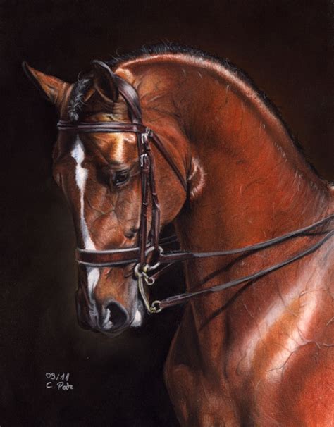 Dressage Horse by ManiaAdun on DeviantArt