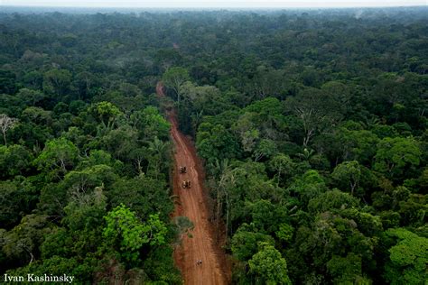 Deforestation ramping up in Yasuni as Ecuador sets to open up national park to drilling